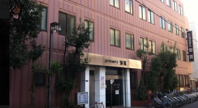 Одноместный номер Business Hotel Kaga