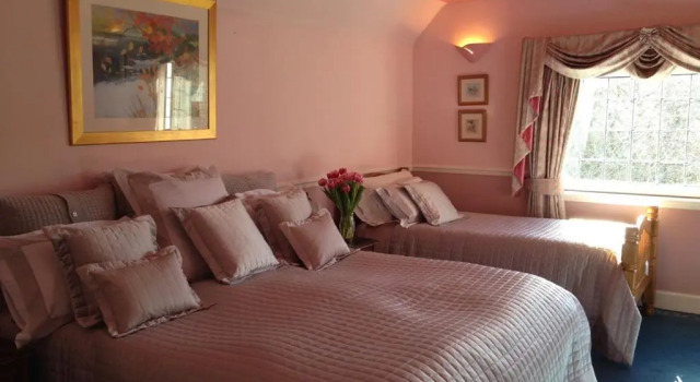 Habitación Superior Carmichael