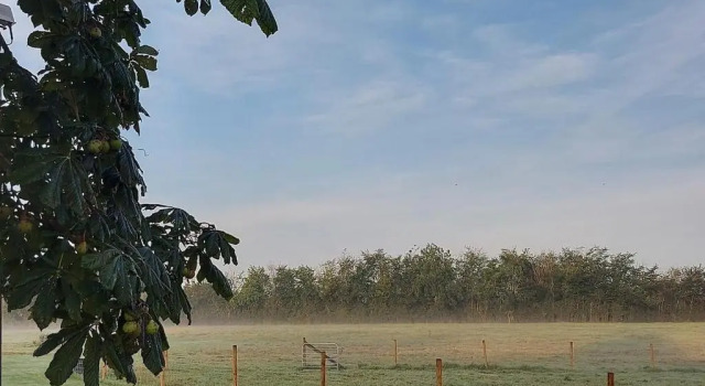 Номер Standard Great Sampford B&B Sorrells farm