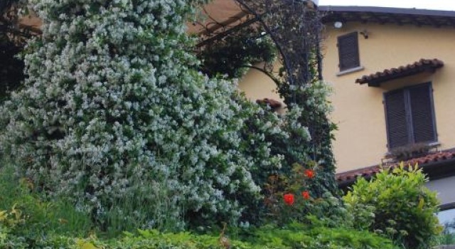 B&B Casa Margot, Reservar Pousada (com pequeno-almoço) Hotéis em Piemonte com pequeno-almoço, Café da manhã