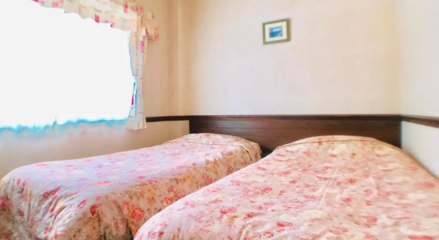 Двухместный номер Standard Alpine Inn Mizushiro