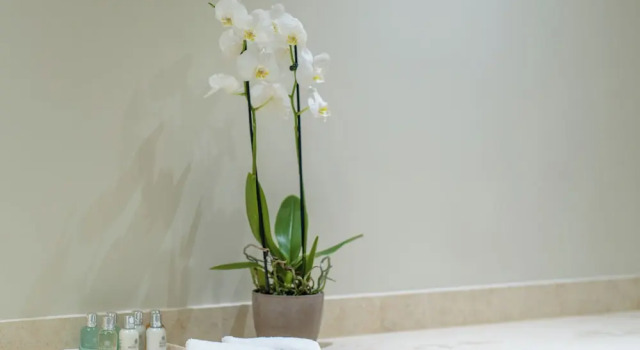 Люкс Deluxe Argostoli Essence Suites