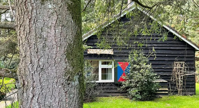 Коттедж с 3 комнатами Landgoed Dennenholt - 5 unique holiday homes