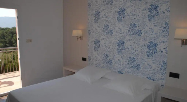 Номер Standard Hotel Grifeu