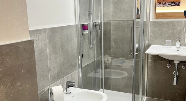 Номер Standard Hotel Zanella