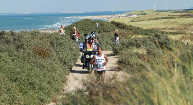 Boszicht aan de Kust 2