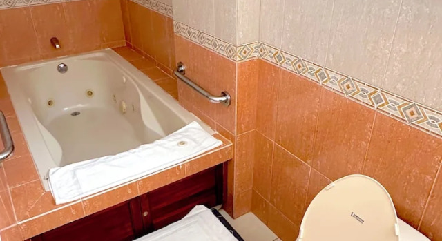 Superior kamer Hotel Andros
