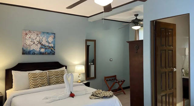 Номер Economy Hotel Playa Espadilla & Gardens