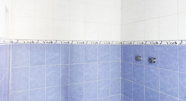 Номер Standard Hotel Gandhi