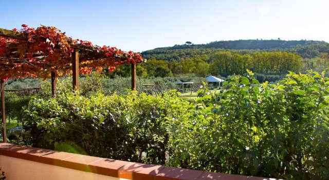 Апартаменты с видом на сад Iscairia Country House