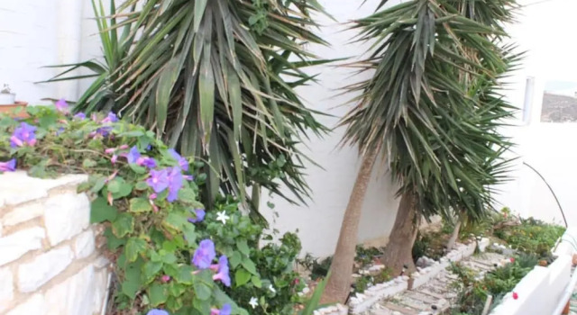 Studios Athina, Prenota Hotel Lagkeri Egeo Meridionale
