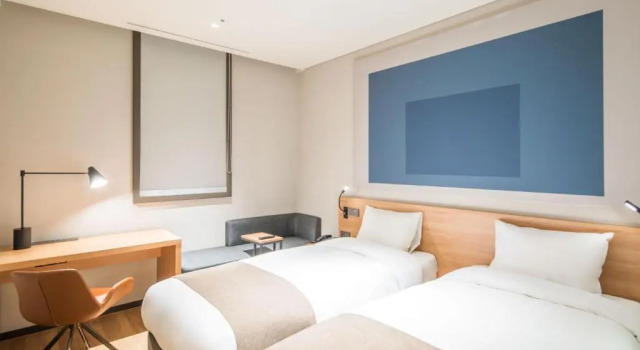 Двухместный номер Standard Ibis Ambassador Suwon