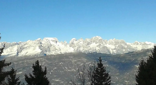 Двухместный номер Standard Hotel Dolomiti Chalet