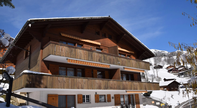 Апартаменты Economy Serviced Apartments   Kirchbühl@home