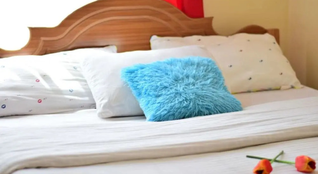 Номер Standard Safari Homes and Tours