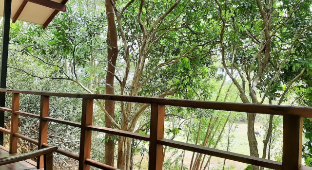 Номер Deluxe Elephant Lodge