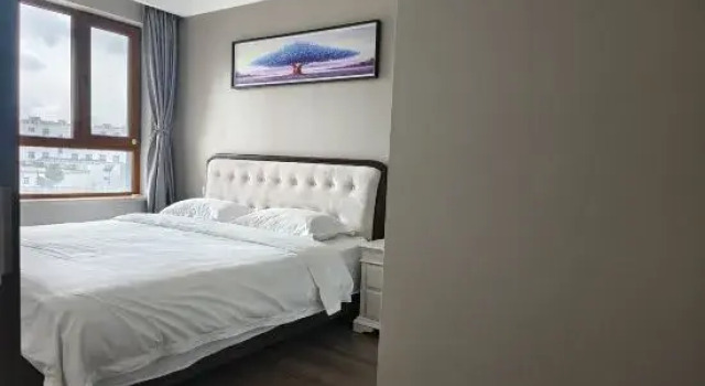 Люкс Deluxe Light Luxury Banshan Hot Spring B&B (Tourism College Branch)