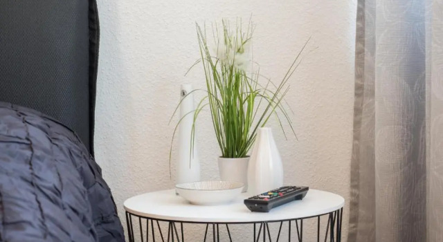 Miralior Apartment, Reserva ahora Apartamento Maguncia Renania Palatinado