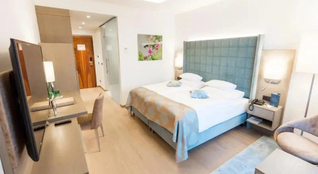Двухместный номер Standard с балконом и с видом на парк Hotel Warmbaderhof