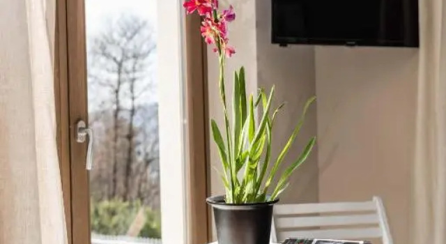 Номер Standard Lavanda e Rosmarino