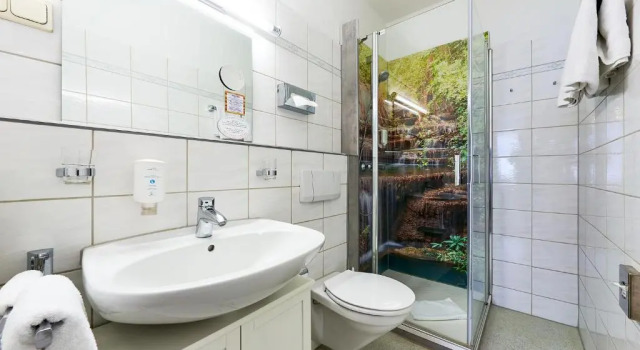 Полулюкс Vitalhotel am Stadtpark Superior