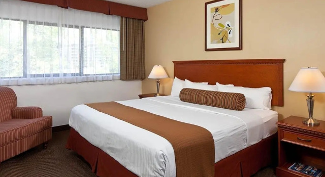 Двухместный номер Standard Loyal Inn