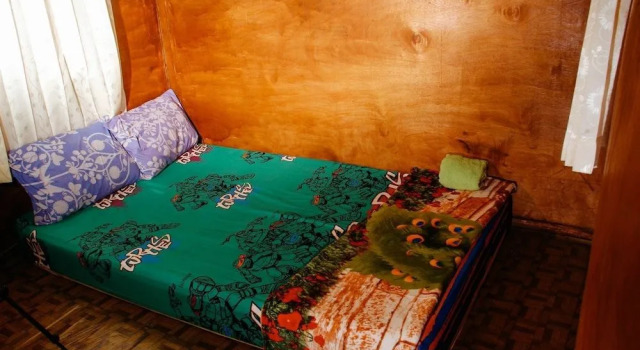 Nyuh Bengkok Tree House