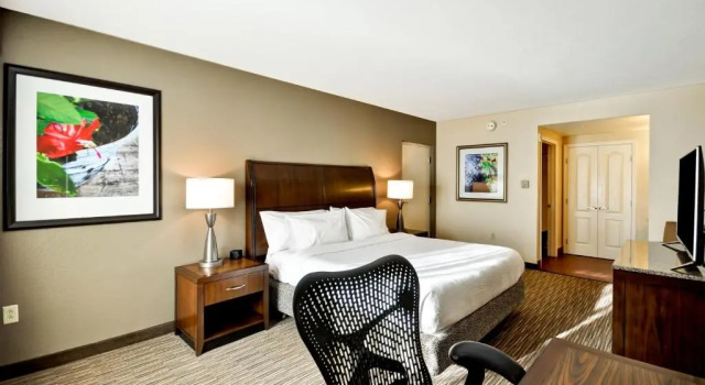 Двухместный номер Mobility Accessible with Roll-in Shower Hilton Garden Inn Tampa North