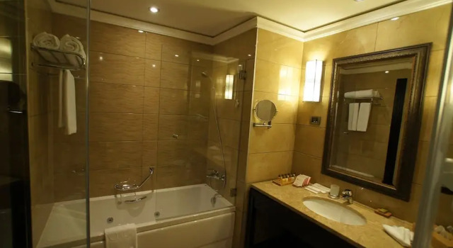 Номер Standard Ramada Plaza by Wyndham Gevgelija