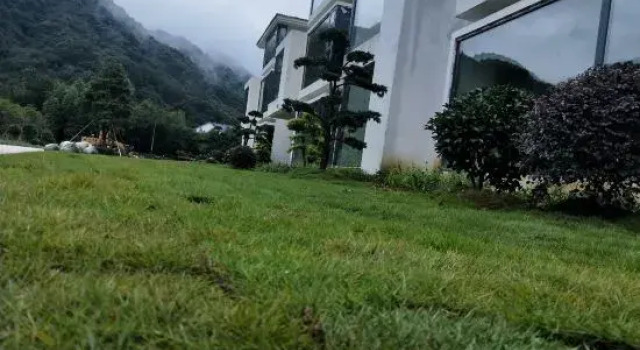 Sanqingshan Sanju Homestay, Rezerwuj Hotel Yushan Jiangxi