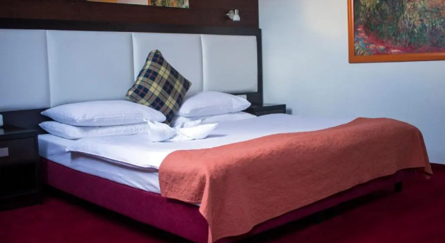Двухместный номер Standard Hotel Slavie