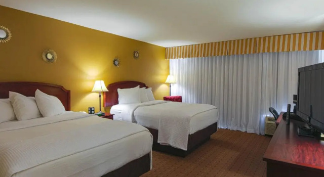 Четырёхместный номер Standard MCM Elegante Hotel & Suites Lubbock