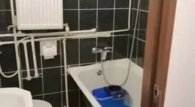 Apartament roman, Забронировать Апартаменты/квартира Роман Нямц