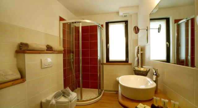 Одноместный номер Standard Hotel Boton DOr & Wellness a La Thuile