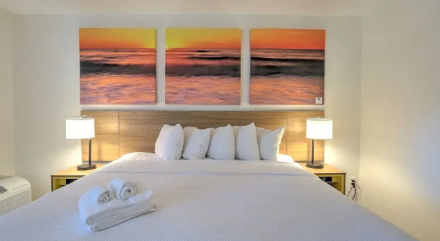 Одноместный номер Deluxe Hotel Carolina
