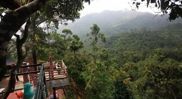 Двухместный коттедж Wild Elephant Eco-Friendly Resort