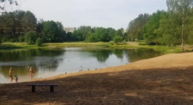 Garden Studio Flat with Infra Sauna near the Alka Beach, Book Hotel Druskininkai 