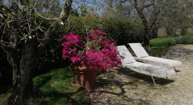 Номер Standard B&B La Casetta di Ben