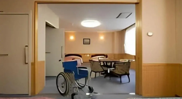 Номер Standard Ikoi no Mura Noto Hanto