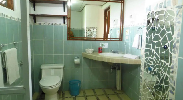 Номер Deluxe Guayabo Lodge