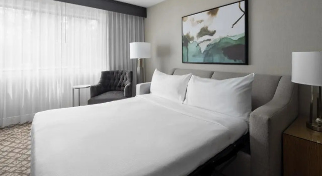 Двухместный люкс с диваном-кроватью c 1 комнатой DoubleTree Suites by Hilton Charlotte/SouthPark