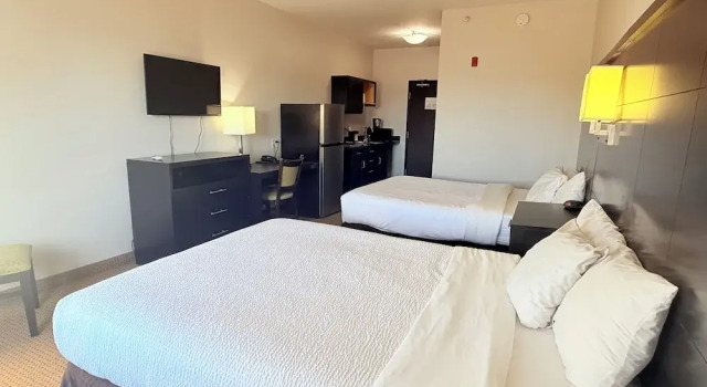 Четырёхместный люкс Black Gold Suites Stanley