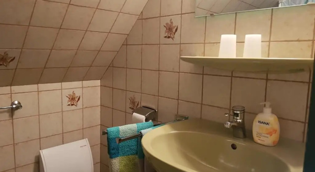 Номер Standard Hausnordlicht Dachspitze