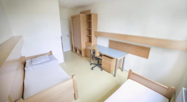 Двухместный номер Standard Muffin Hostel