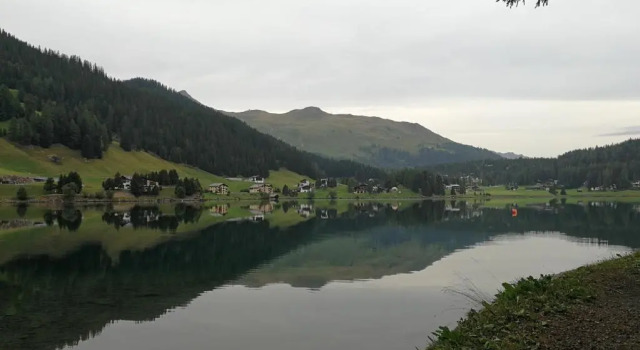 Grifla, Prenota Hotel Davos-Dorf Davos