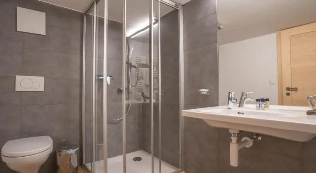 Двухместный номер Standard Hotel Wasserfall