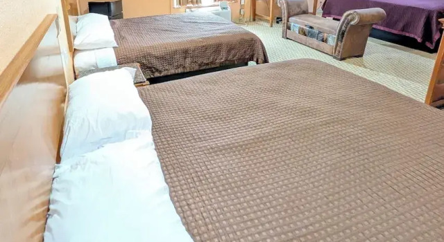 Люкс Comfort Oasis Inn