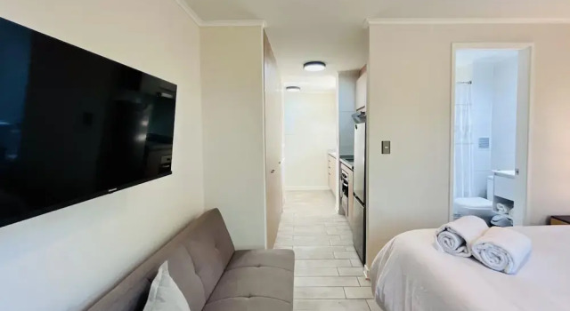 Studio National Stadium - Gym Laundry Pet Pool Wifi, Book Apartment Metropolitan Region Santiago, near Parque Quinta Normal