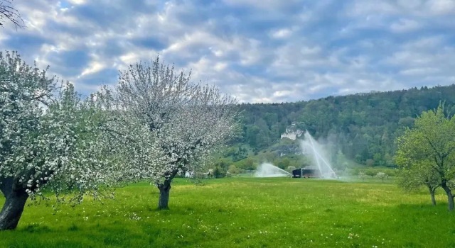 Номер Comfort Römercastell Wirtshaus & Hotel