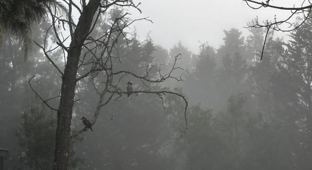 Коттедж Kangaroo Valley Timber Cabin